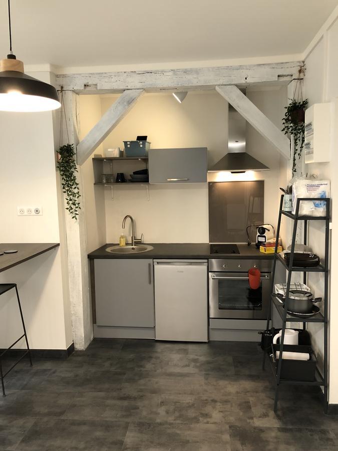 Apartament Hypercentre Orlean Zewnętrze zdjęcie