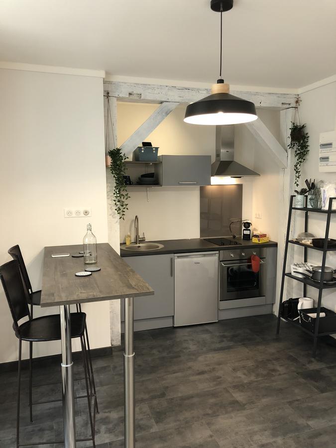 Apartament Hypercentre Orlean Zewnętrze zdjęcie